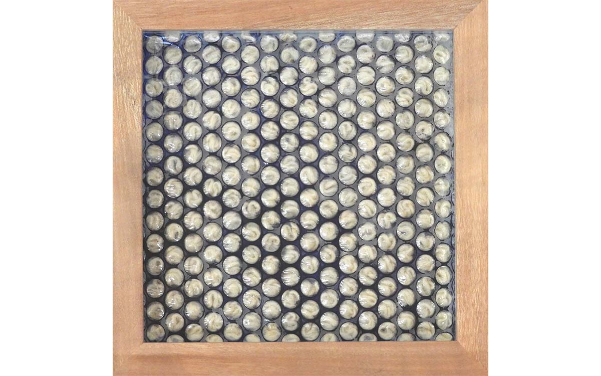 Gail Hawes Round exibition image